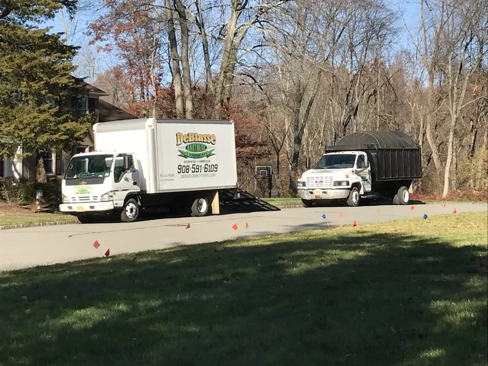 Trusted landscape installation in Millington, NJ - Debiasse Brothers Landscape