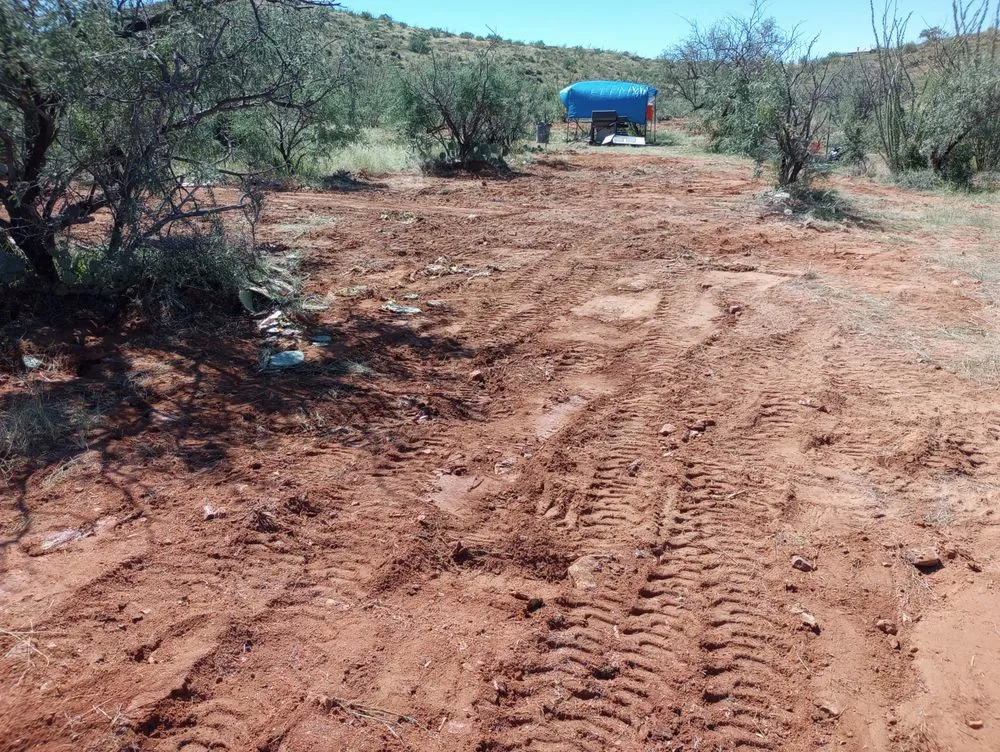 Expert lawn care service for beautiful yards in Tucson, AZ by Deboiz Hauling