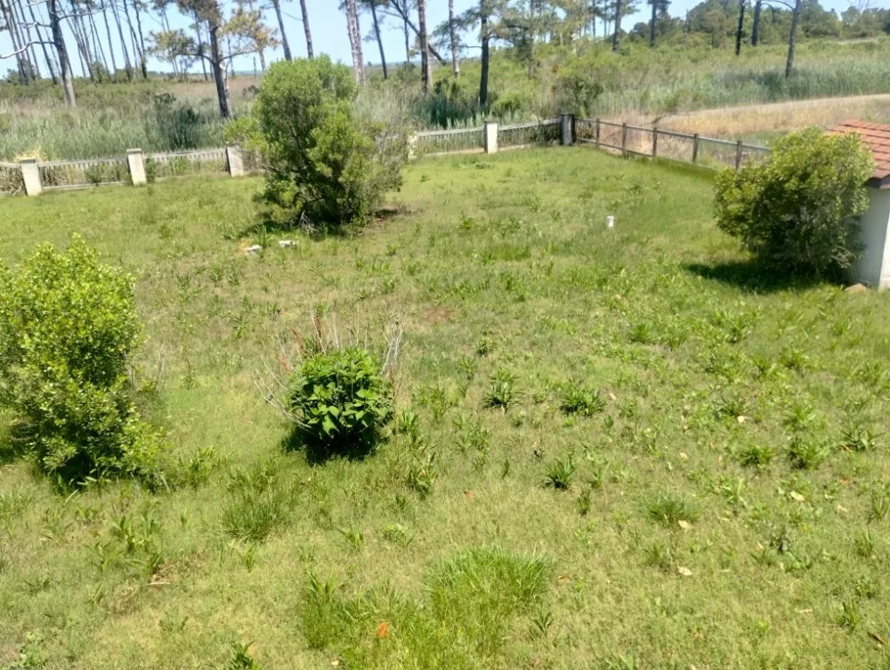 Professional residential landscaping in Newport News, VA by Debonair Clean