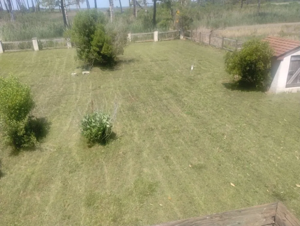 Reliable outdoor landscaping with custom design in Newport News, VA by Debonair Clean