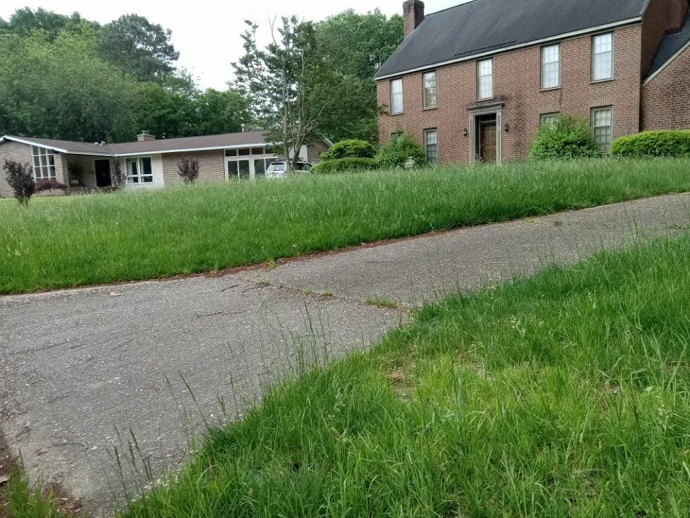 Reliable lawn care service near you across Newport News, VA - Debonair Clean