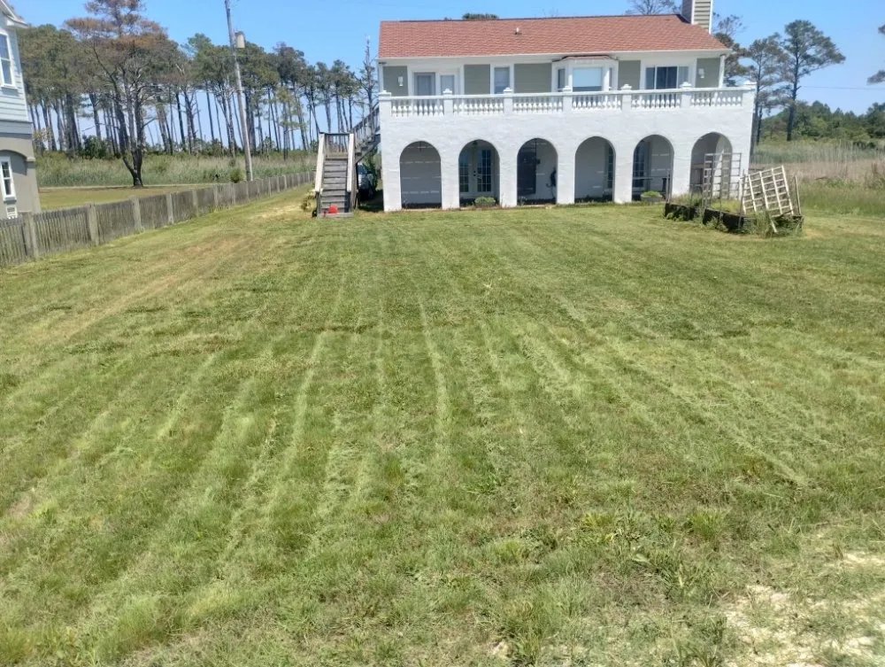 Local lawn care service in Newport News, VA - Debonair Clean