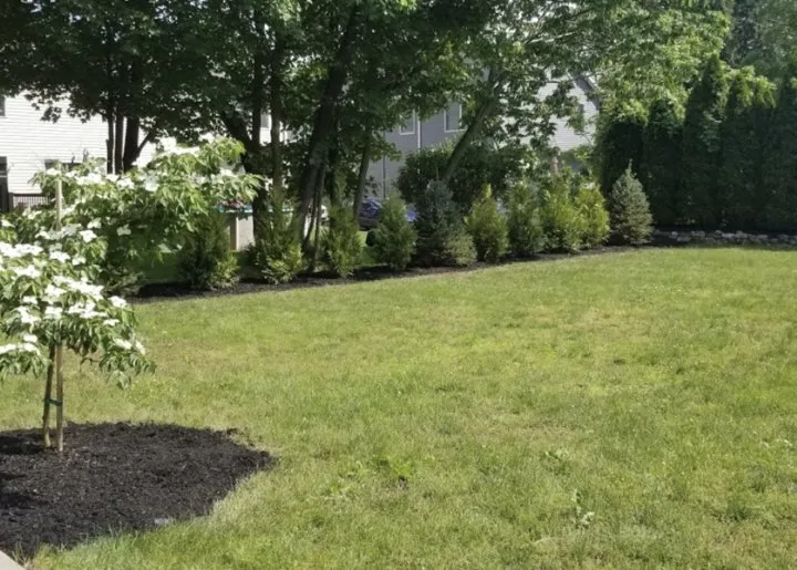 Expert landscape design in Poultney, VT by DeBonis Excavation & Landscaping