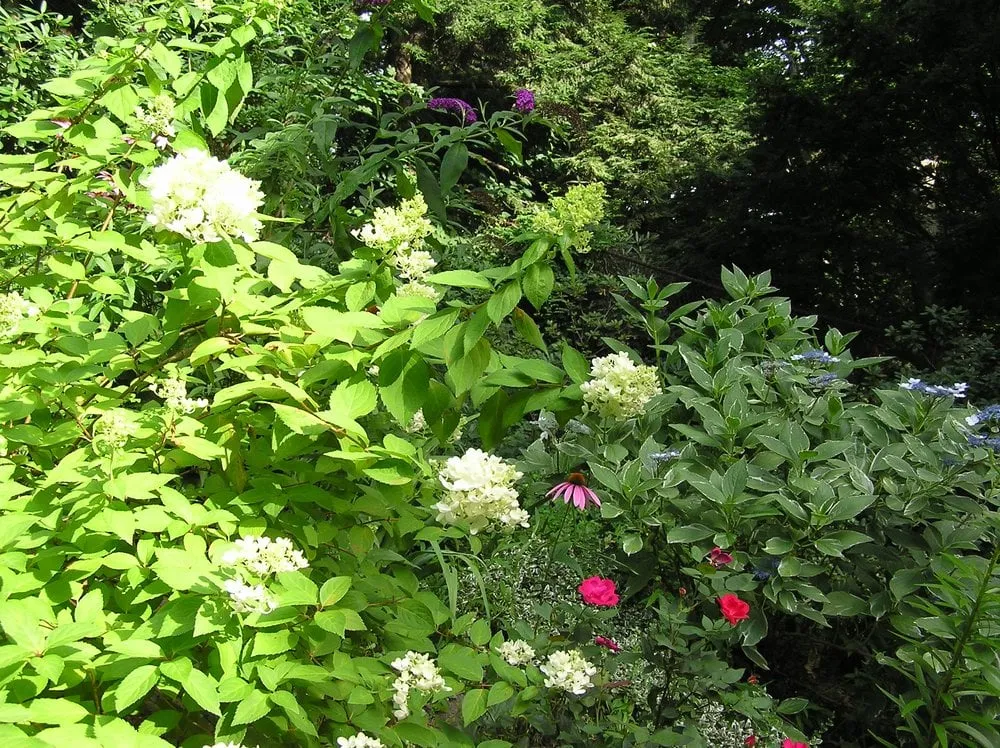 Reliable landscaping services in Brookline, MA - Deborah Cureton Landscape Design