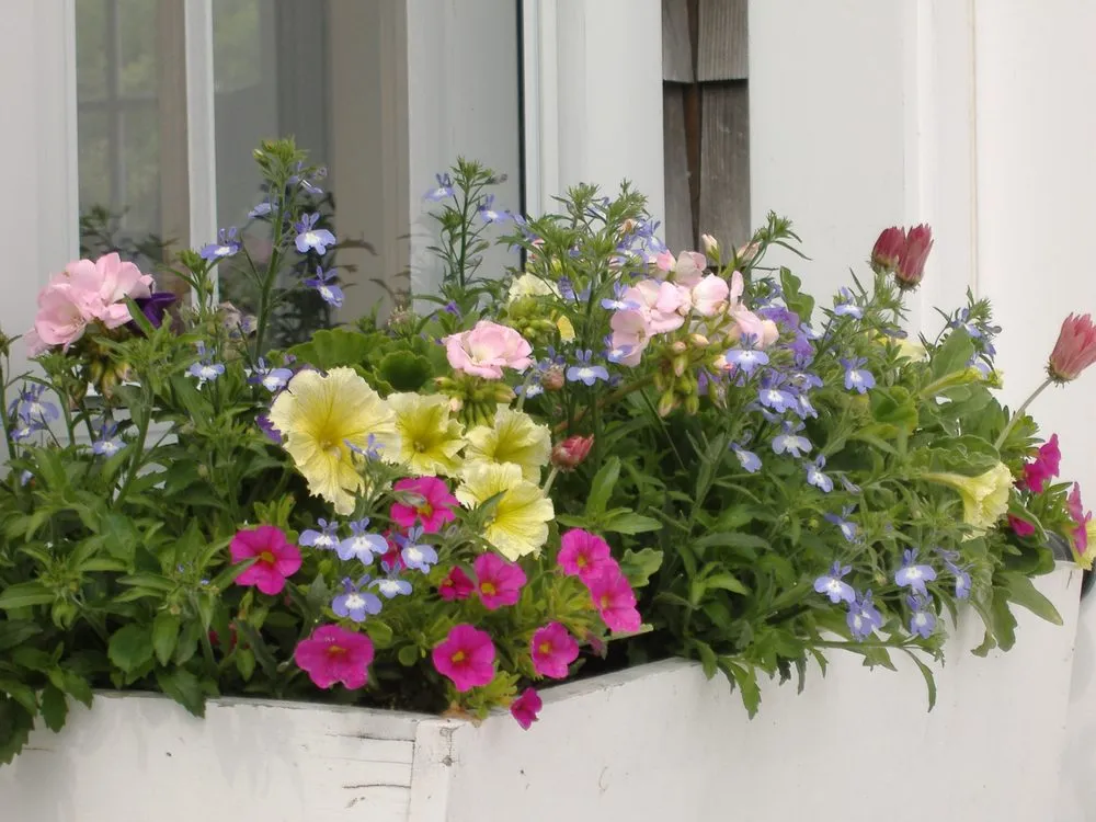 Expert landscape installation in Nantucket, MA - Deborah L. Wilson Garden Services