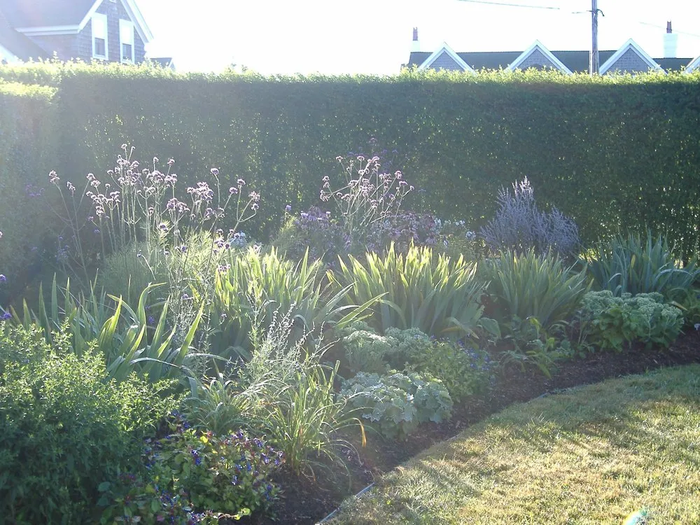 Professional outdoor landscaping in Nantucket, MA by Deborah L. Wilson Garden Services