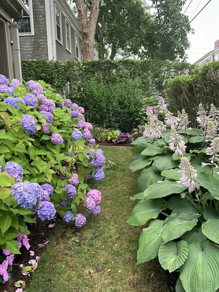 Top-rated lawn care service for outdoor upgrades in Nantucket, MA by Deborah L. Wilson Garden Services