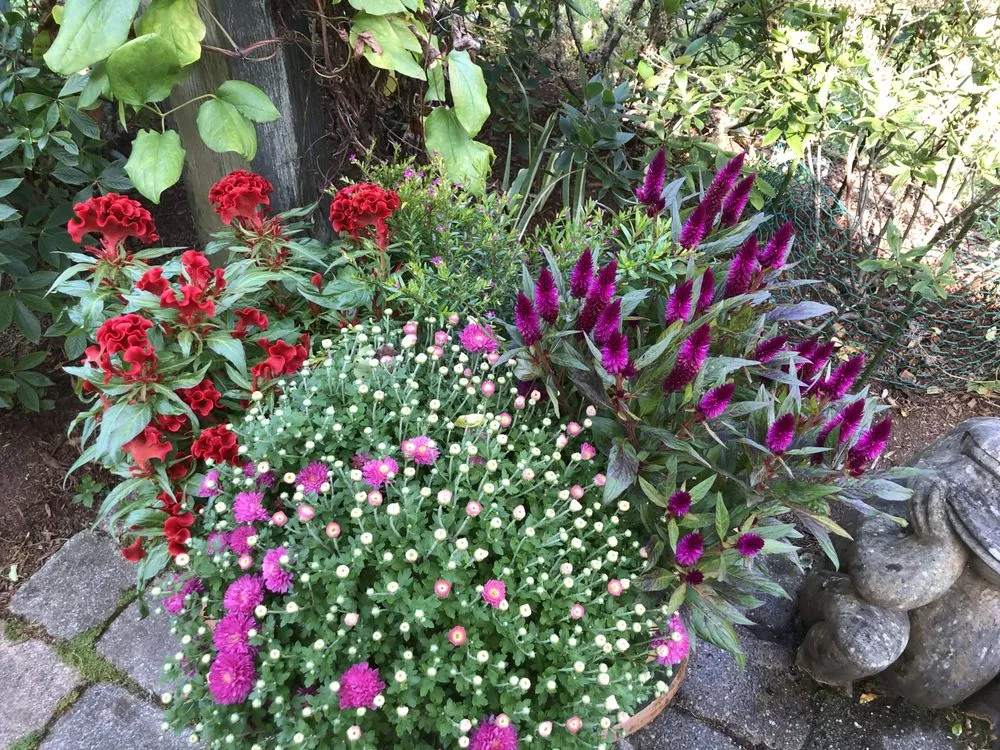 Local yard maintenance for residential properties in Nantucket, MA by Deborah L. Wilson Garden Services