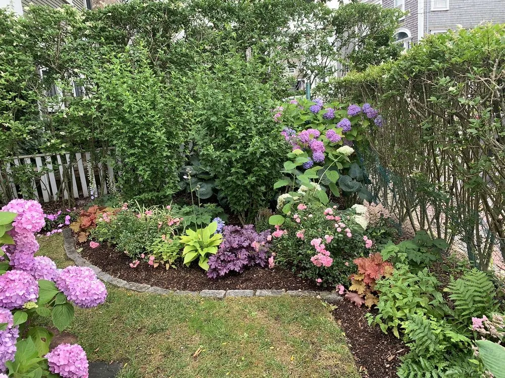 Top-rated lawn care service for outdoor upgrades across Nantucket, MA - Deborah L. Wilson Garden Services