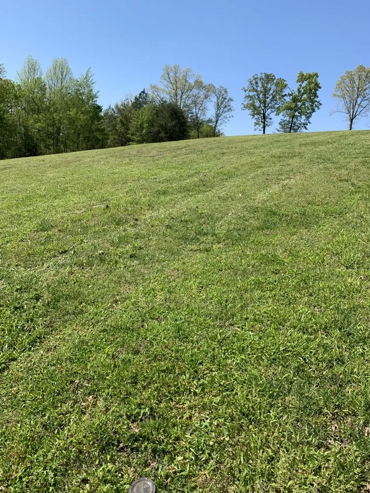 Top-rated yard cleanup service in Pikeville, TN by DeBord Lawn Care