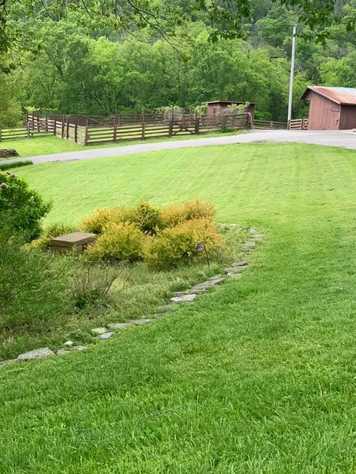 Affordable lawn mowing service in Pikeville, TN - DeBord Lawn Care