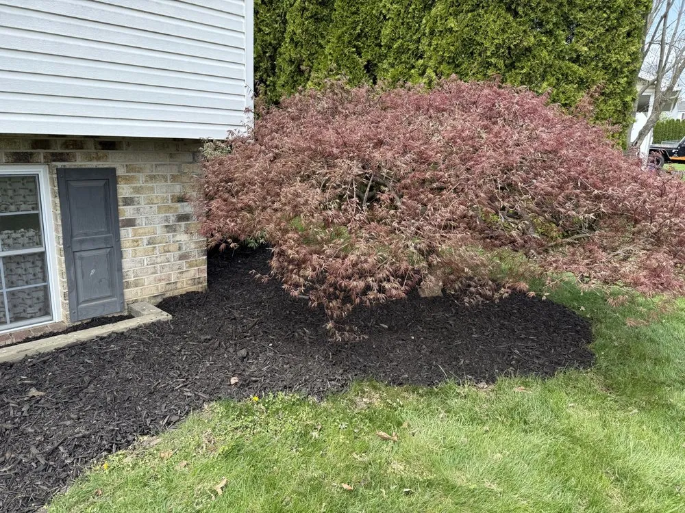 Trusted landscaping services in Chambersburg, PA - Debris Free