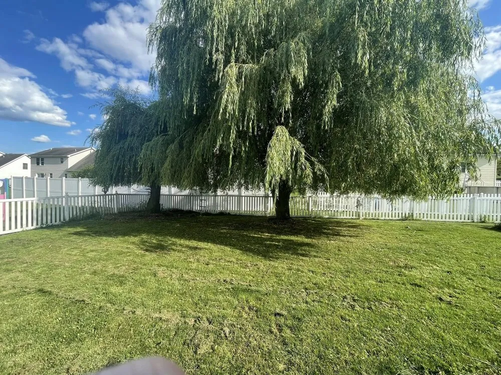 Expert residential landscaping for homes across Chambersburg, PA - Debris Free