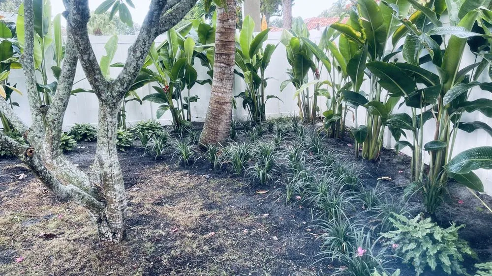 Expert landscape installation in Tamarac, FL by Decam Landscape Services