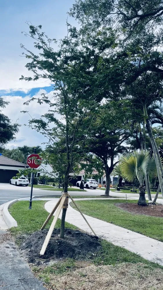 Expert lawn mowing service in Tamarac, FL by Decam Landscape Services