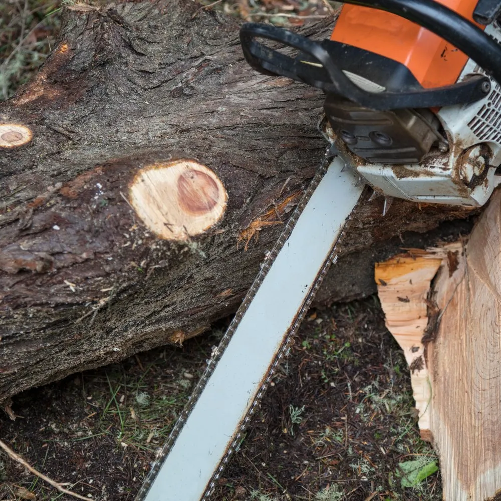 Custom garden landscaping in Tamarac, FL - Decam Landscape Services