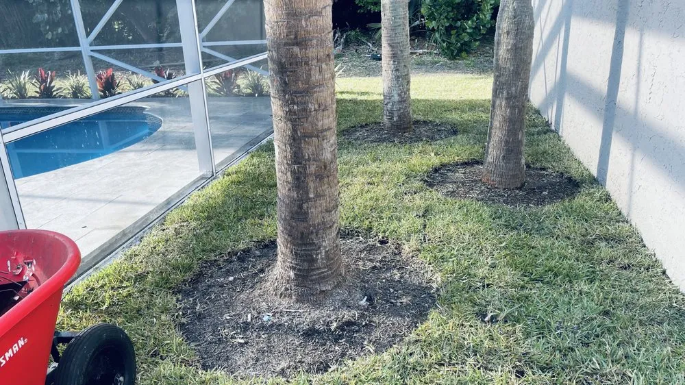 Professional landscape installation experts serving Tamarac, FL - Decam Landscape Services