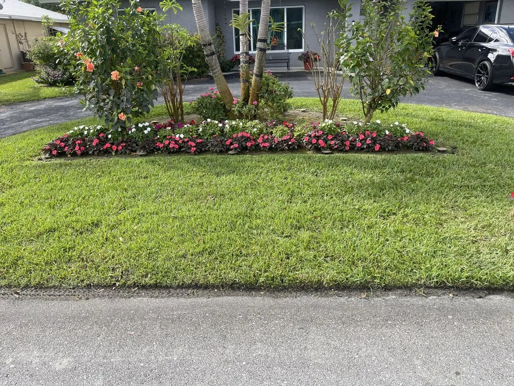 Affordable landscape installation for beautiful yards in Tamarac, FL by Decam Landscape Services