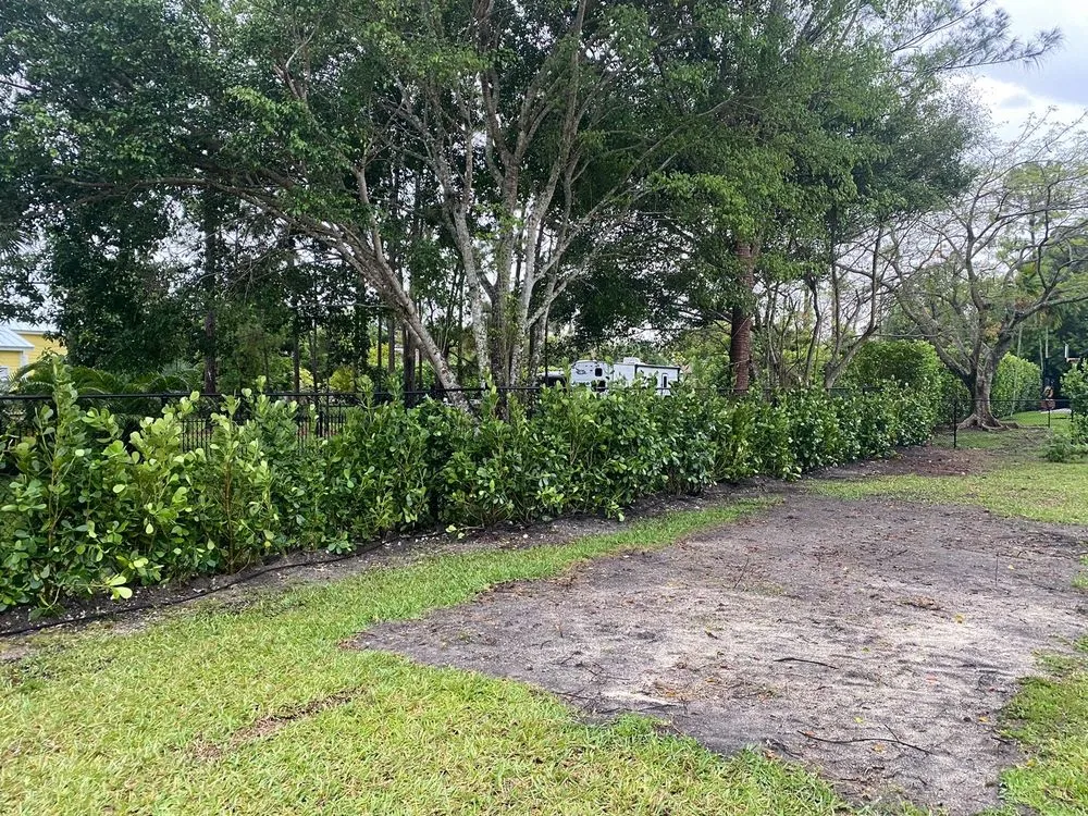 Affordable lawn mowing service for homes across Tamarac, FL - Decam Landscape Services