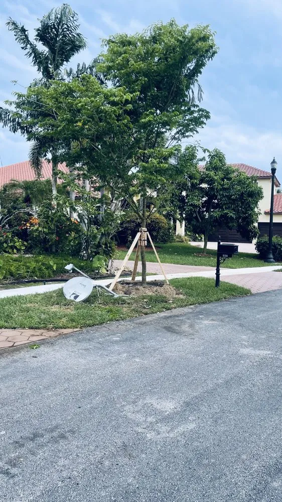 Custom garden landscaping in Tamarac, FL - Decam Landscape Services