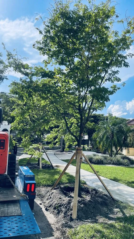 Professional landscaping services in Tamarac, FL by Decam Landscape Services