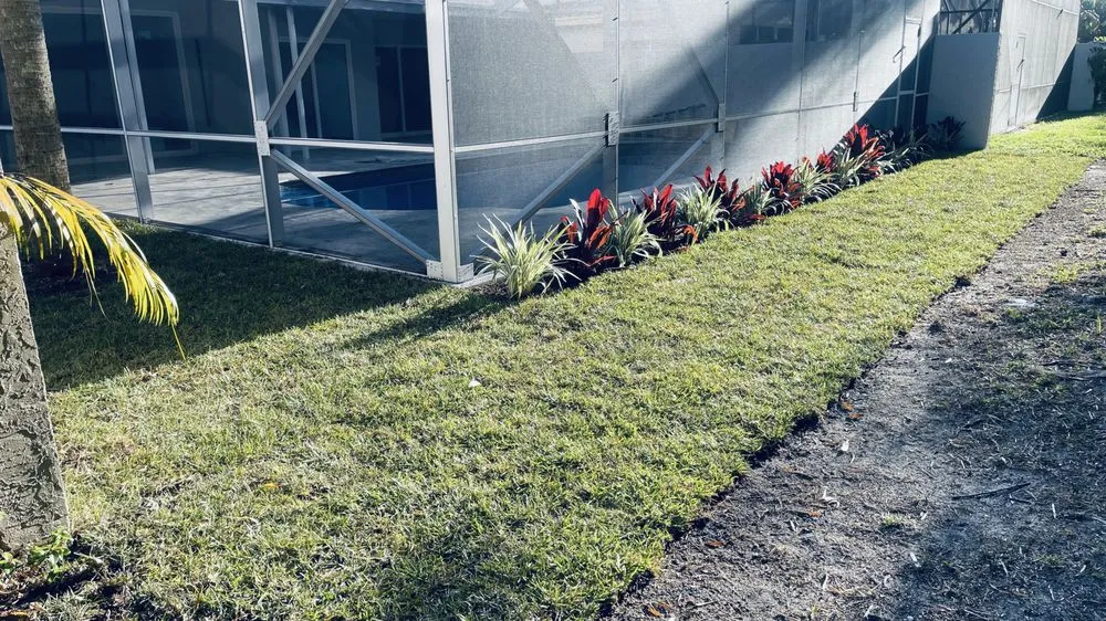 Affordable landscape installation for outdoor upgrades across Tamarac, FL - Decam Landscape Services