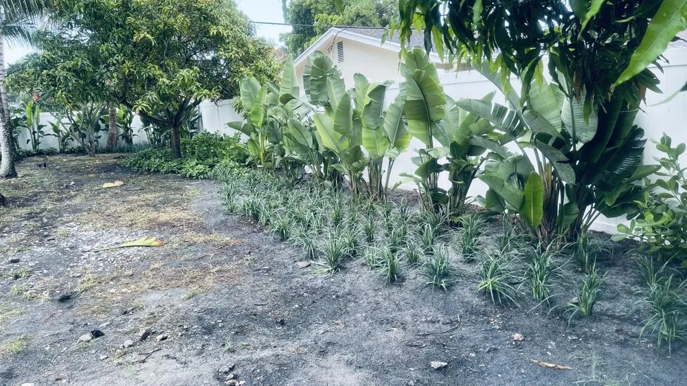 Trusted lawn care service in Tamarac, FL by Decam Landscape Services