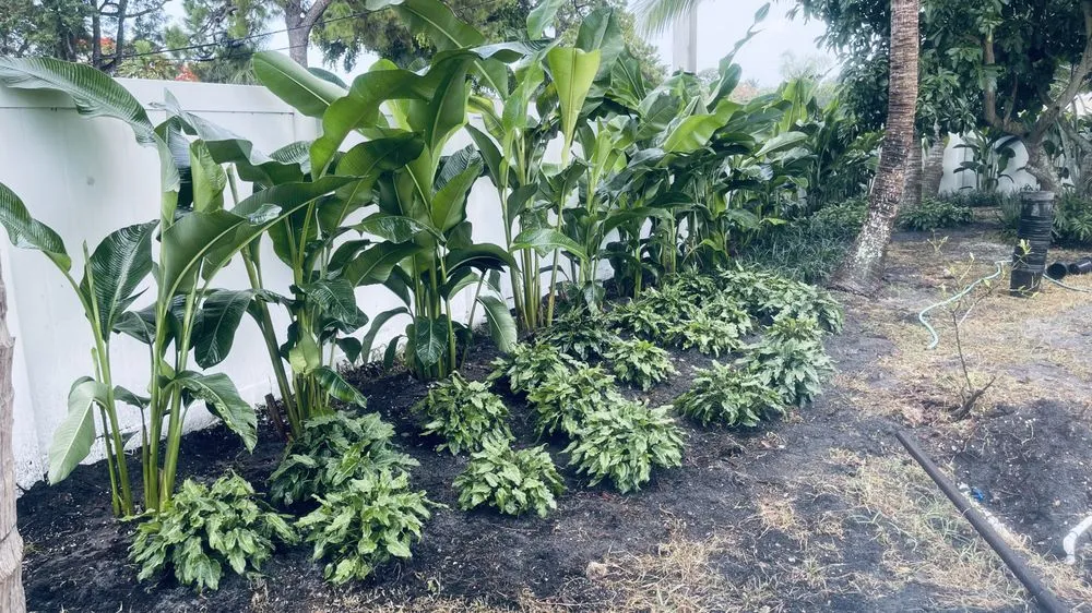 Custom residential landscaping for residential properties across Tamarac, FL - Decam Landscape Services