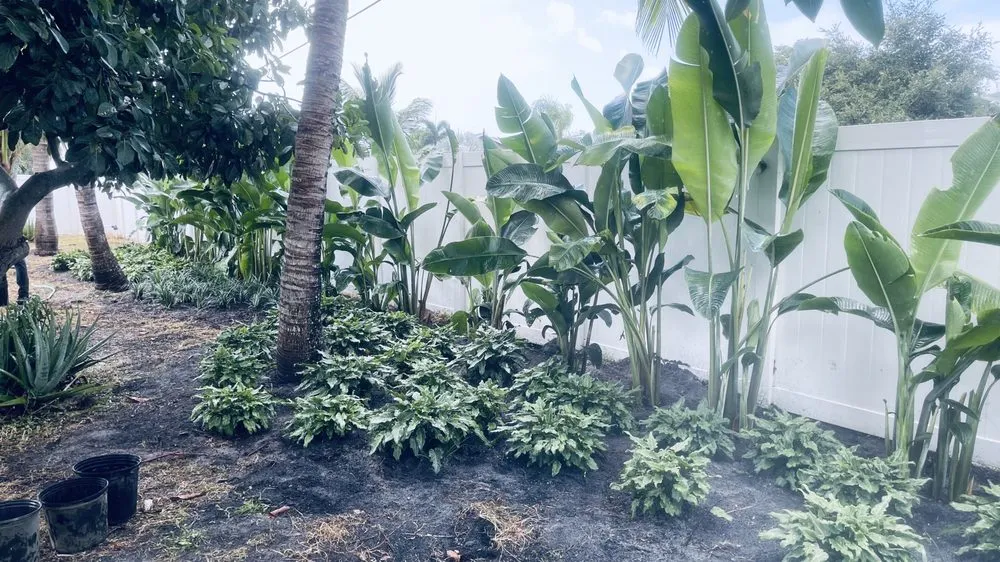 Trusted yard cleanup service in Tamarac, FL - Decam Landscape Services