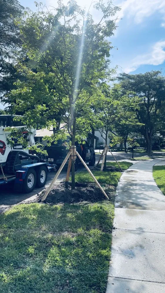 Affordable lawn mowing service for outdoor upgrades in Tamarac, FL by Decam Landscape Services