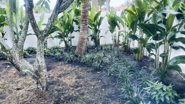 Decam Landscape Services