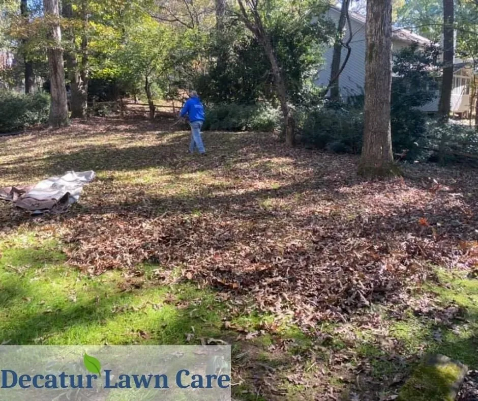 Professional yard maintenance near you across Decatur, GA - Decatur Lawn Care Company