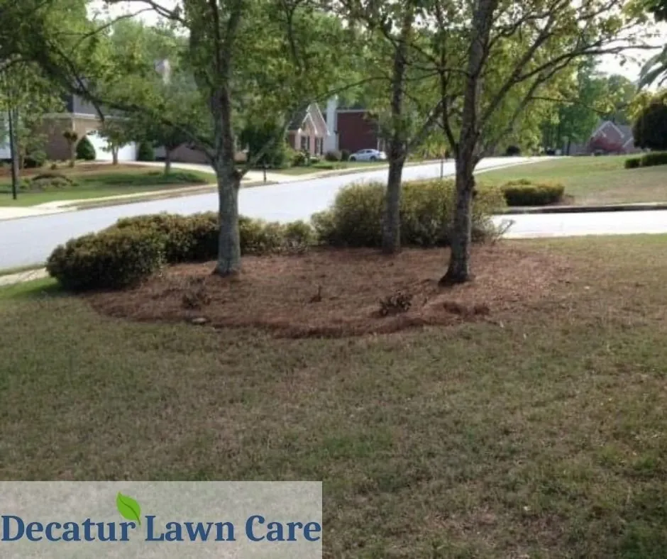Custom outdoor landscaping in Decatur, GA - Decatur Lawn Care Company
