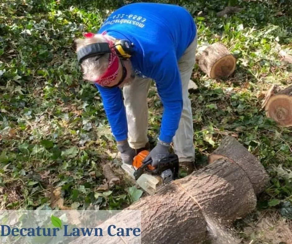 Custom landscaping services in Decatur, GA by Decatur Lawn Care Company