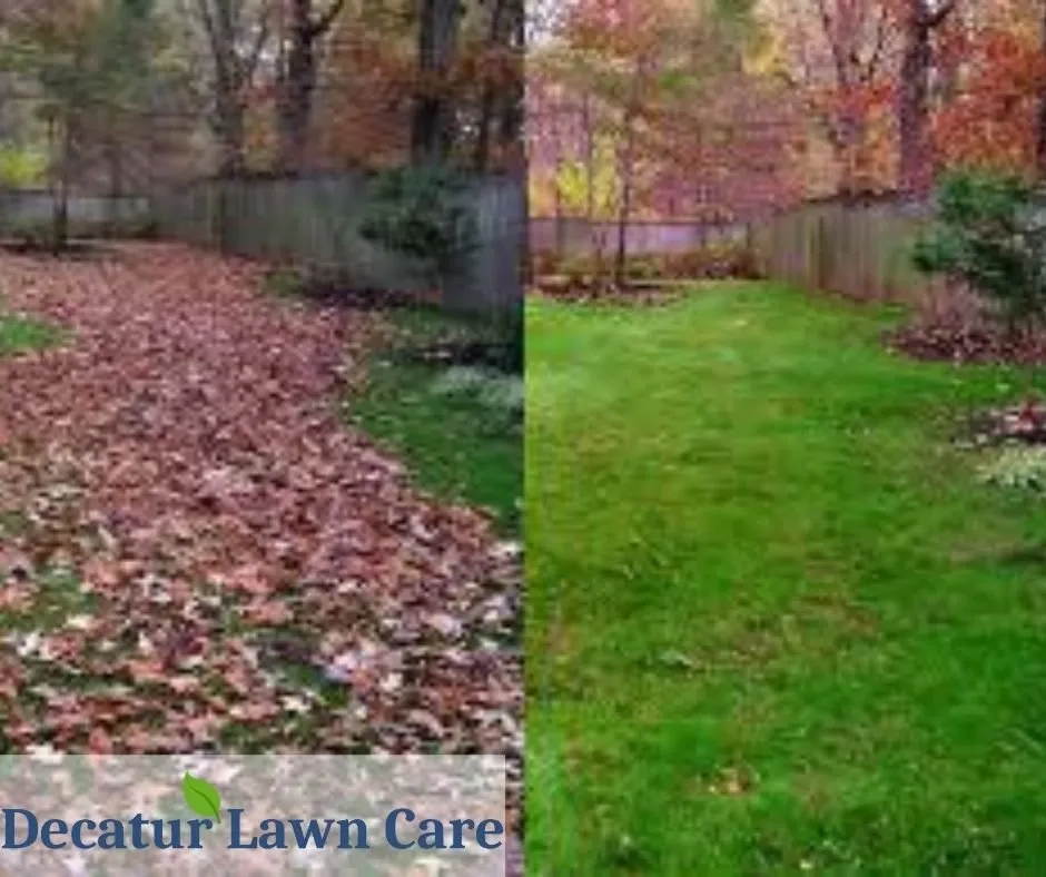 Custom lawn care service for outdoor upgrades across Decatur, GA - Decatur Lawn Care Company