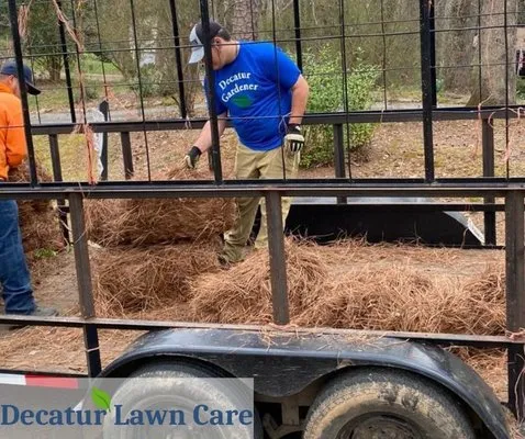 Decatur Lawn Care Company Logo