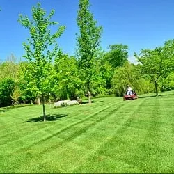 Expert yard maintenance with custom design across Decatur, GA - Decatur Lawn Care