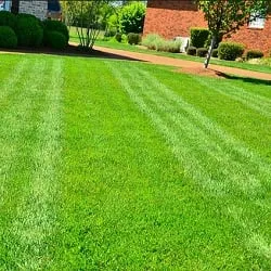 Affordable yard cleanup service for outdoor upgrades in Decatur, GA by Decatur Lawn Care