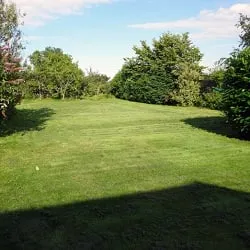 Reliable yard maintenance for year-round maintenance across Decatur, GA - Decatur Lawn Care