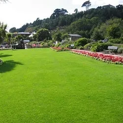 Top-rated residential landscaping experts serving Decatur, GA - Decatur Lawn Care