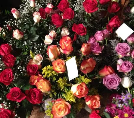 Top-rated lawn care service in Decatur, AL - Decatur Nursery & Florist