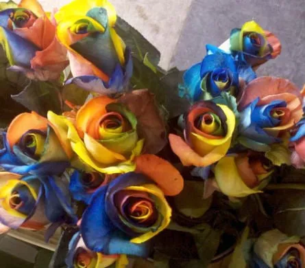 Top-rated landscaping services experts serving Decatur, AL - Decatur Nursery & Florist