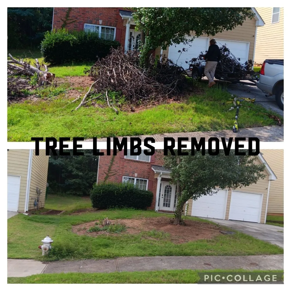 Top-rated landscaping services in Belvedere Park, GA - Decatur Yard Barber