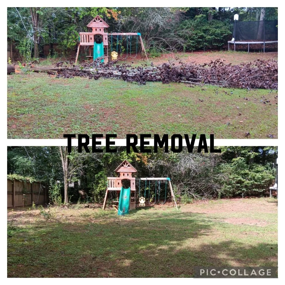 Expert lawn mowing service experts serving Belvedere Park, GA - Decatur Yard Barber