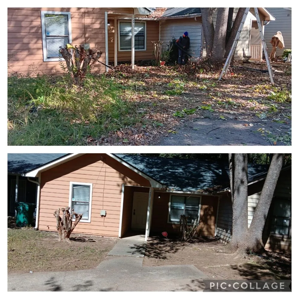 Top-rated landscape installation in Belvedere Park, GA - Decatur Yard Barber