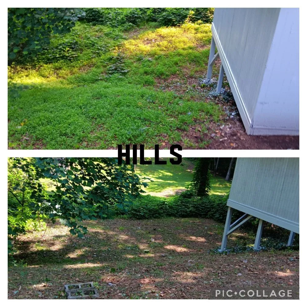 Custom yard cleanup service with custom design across Belvedere Park, GA - Decatur Yard Barber