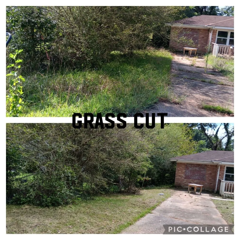 Trusted residential landscaping near you in Belvedere Park, GA by Decatur Yard Barber