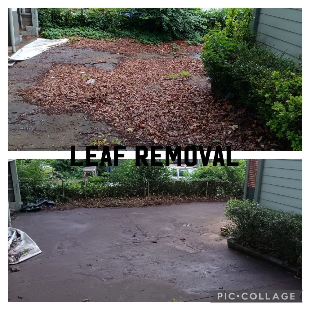 Professional lawn care service experts serving Belvedere Park, GA - Decatur Yard Barber