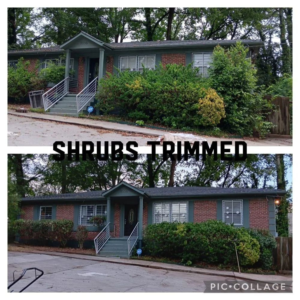 Local garden landscaping for year-round maintenance across Belvedere Park, GA - Decatur Yard Barber