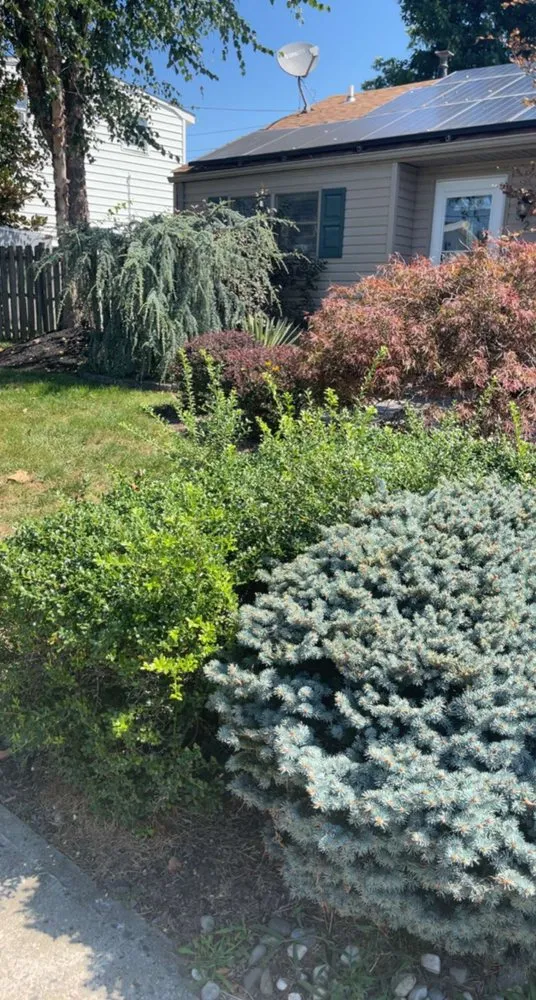 Affordable lawn care service for beautiful yards across Old Bridge, NJ - Dechert Landscape